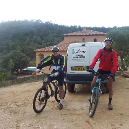 Campeggio 3 étoiles - Piscine - Ccaffbe