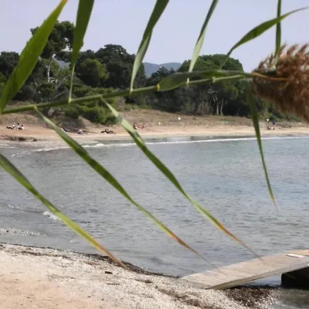 Zecamping 3 A 4km De La Piscine Chiens Acceptes Jacuzzi 3* Bormes-les-Mimosas