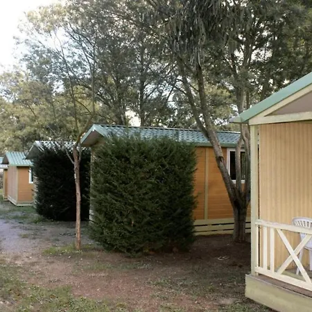 Campingplatz Zecamping 3 A 4km De La Piscine Chiens Acceptes Jacuzzi Bormes-les-Mimosas